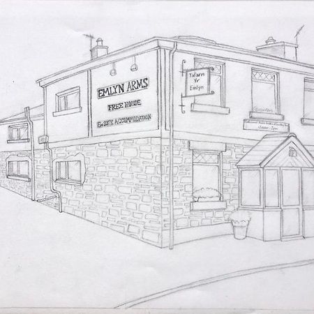 Bed and Breakfast Emlyn Arms Llanarthney Exterior foto