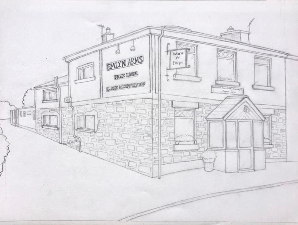 Bed and Breakfast Emlyn Arms Llanarthney Exterior foto