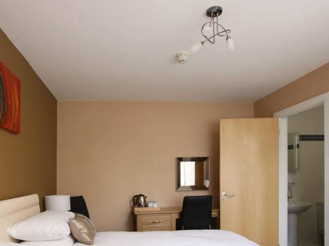 Bed and Breakfast Emlyn Arms Llanarthney Exterior foto